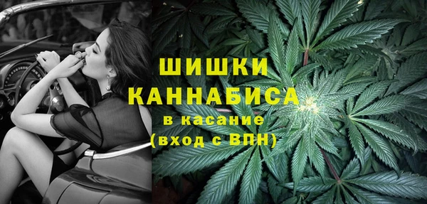 индика Абдулино