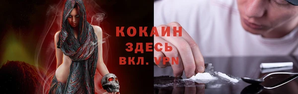 индика Абдулино