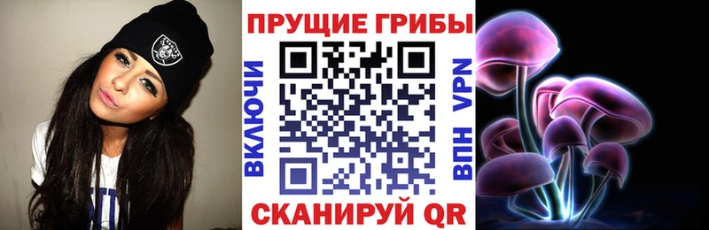 Галлюциногенные грибы Psilocybe  Гусиноозёрск 